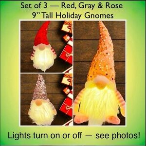 NEW Set Of 3 Light Up Holiday Gnomes w/ Posable Hats 9" Tall Includes Batteries!